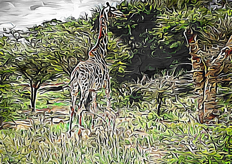 Giraffe Away