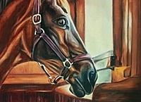 Horse Looking Out The Stable Window by Tiffany Maré