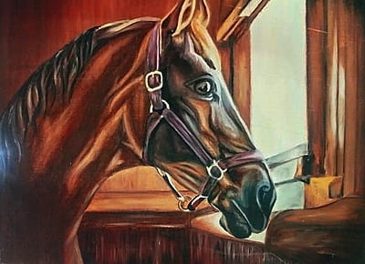 Horse Looking Out The Stable Window by Tiffany Maré