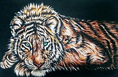 Resting Tiger by Tiffany Maré