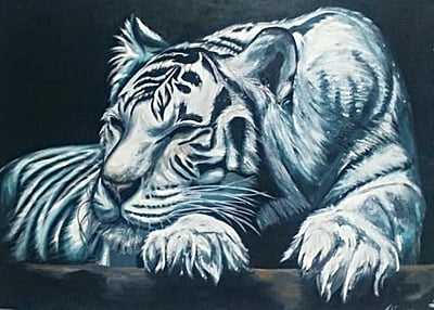 Sleeping White Tiger by Tiffany Maré